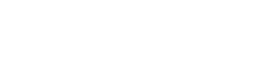 SCHMUCK 