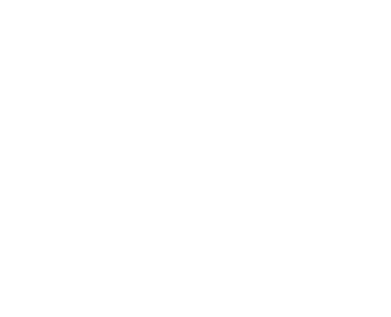 SCHMUCK 